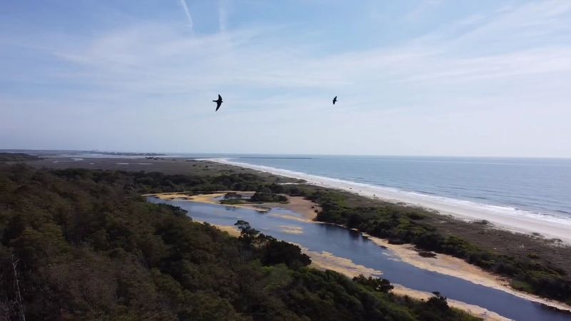 Huntington Beach State Park, South Carolina