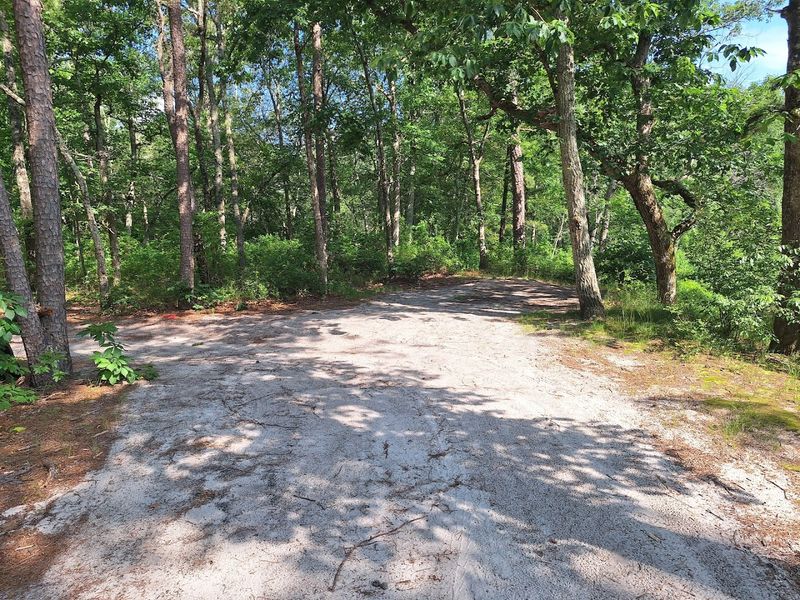 Hiking Without a Marked Trail System