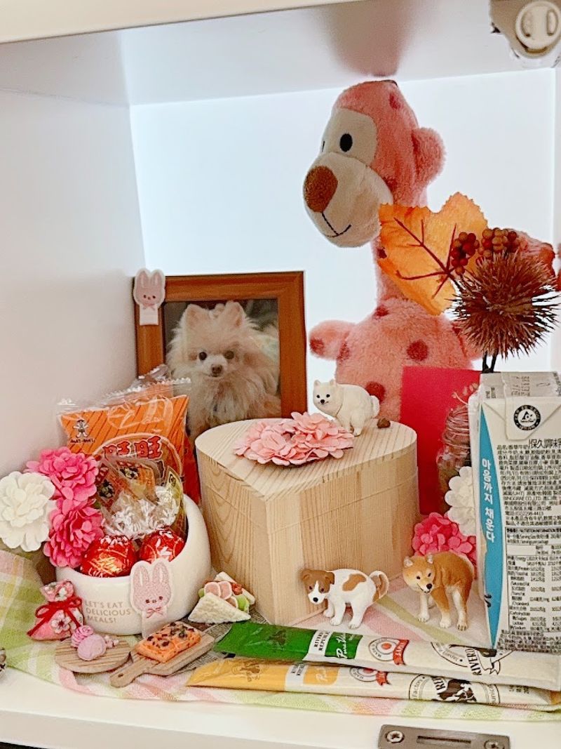 The Pet Memorial Garden – Hong Kong
