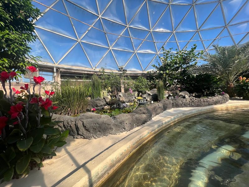 Mickey-Shaped Pumpkins and Giant Gourds