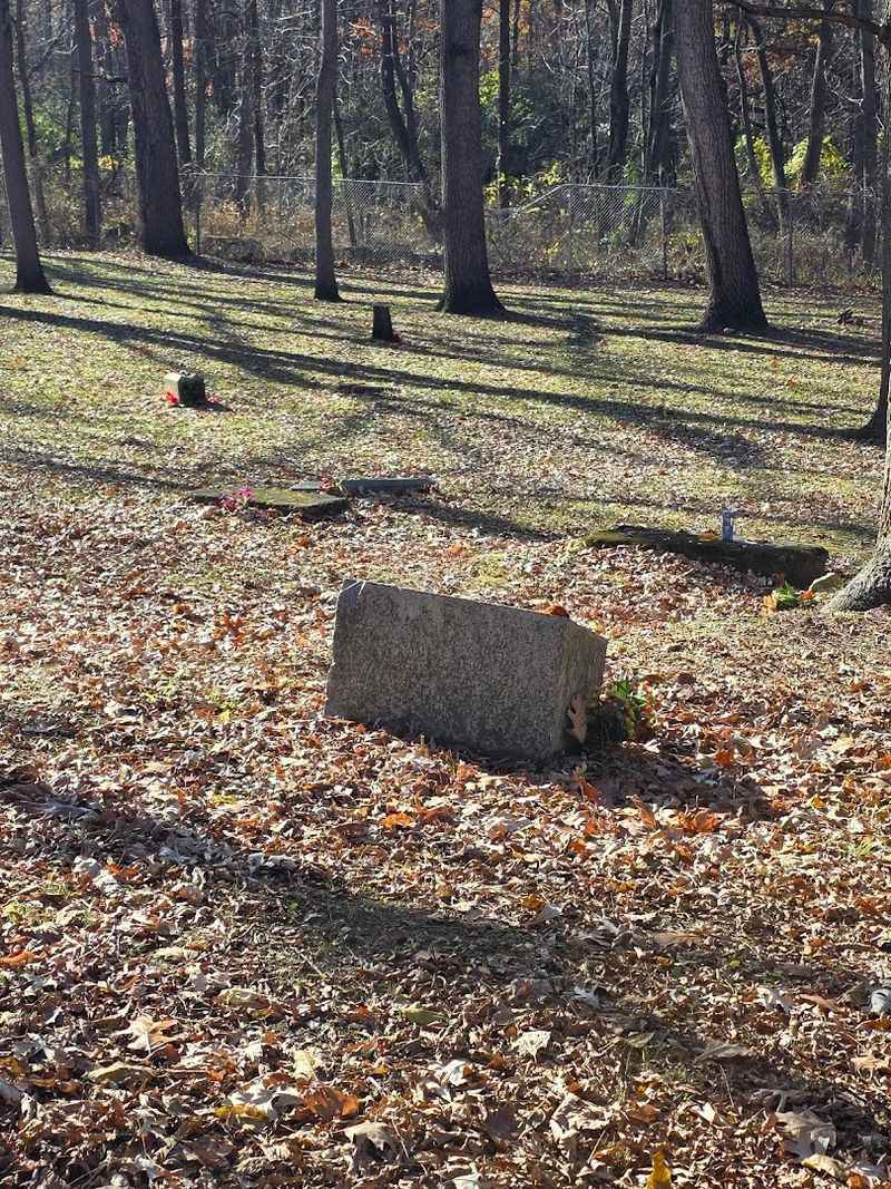 Illinois: Bachelor’s Grove Cemetery (Midlothian)