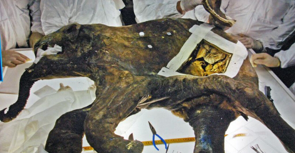 Incredible Historical Finds That Stopped Construction in Its Tracks