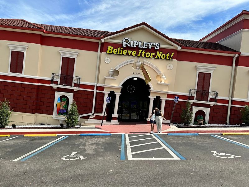 The Egyptian Artifacts Display