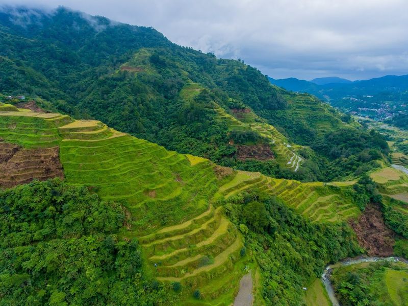 Walk the Banaue Rice Terraces
