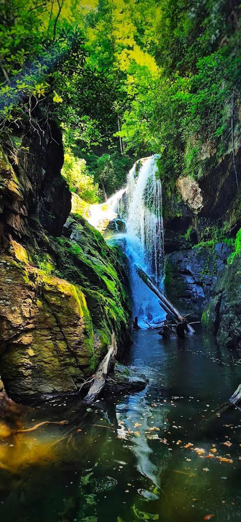 Jocassee Gorges — Salem