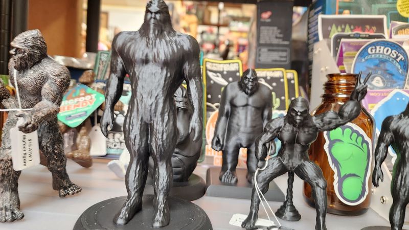 Odd Treasures Beyond the Jersey Devil