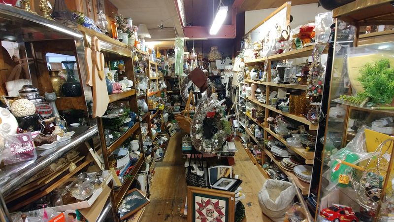 Homeware and Ceramics for the Dedicated Collector