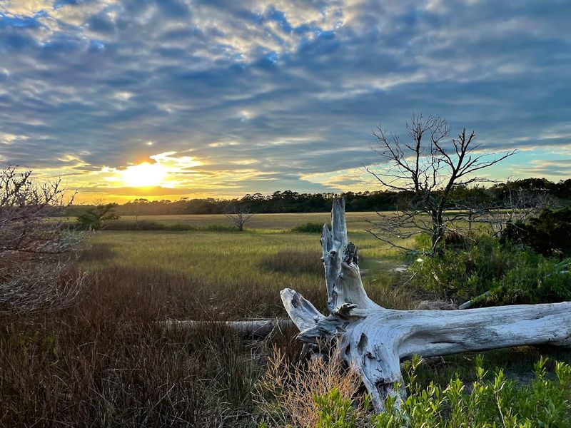 Botany Bay Plantation — Edisto Island