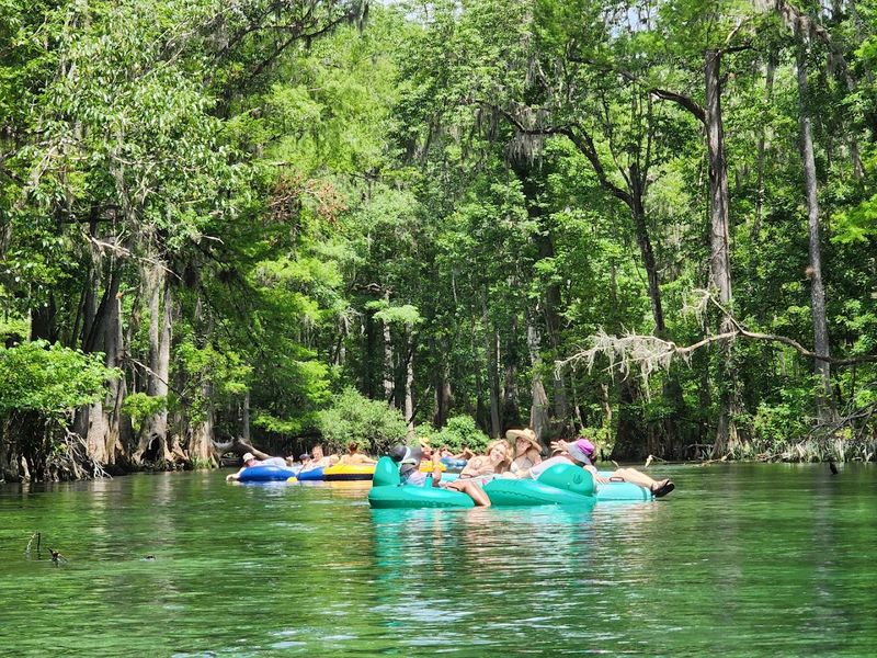 Ichetucknee Springs State Park - Fort White, Florida
