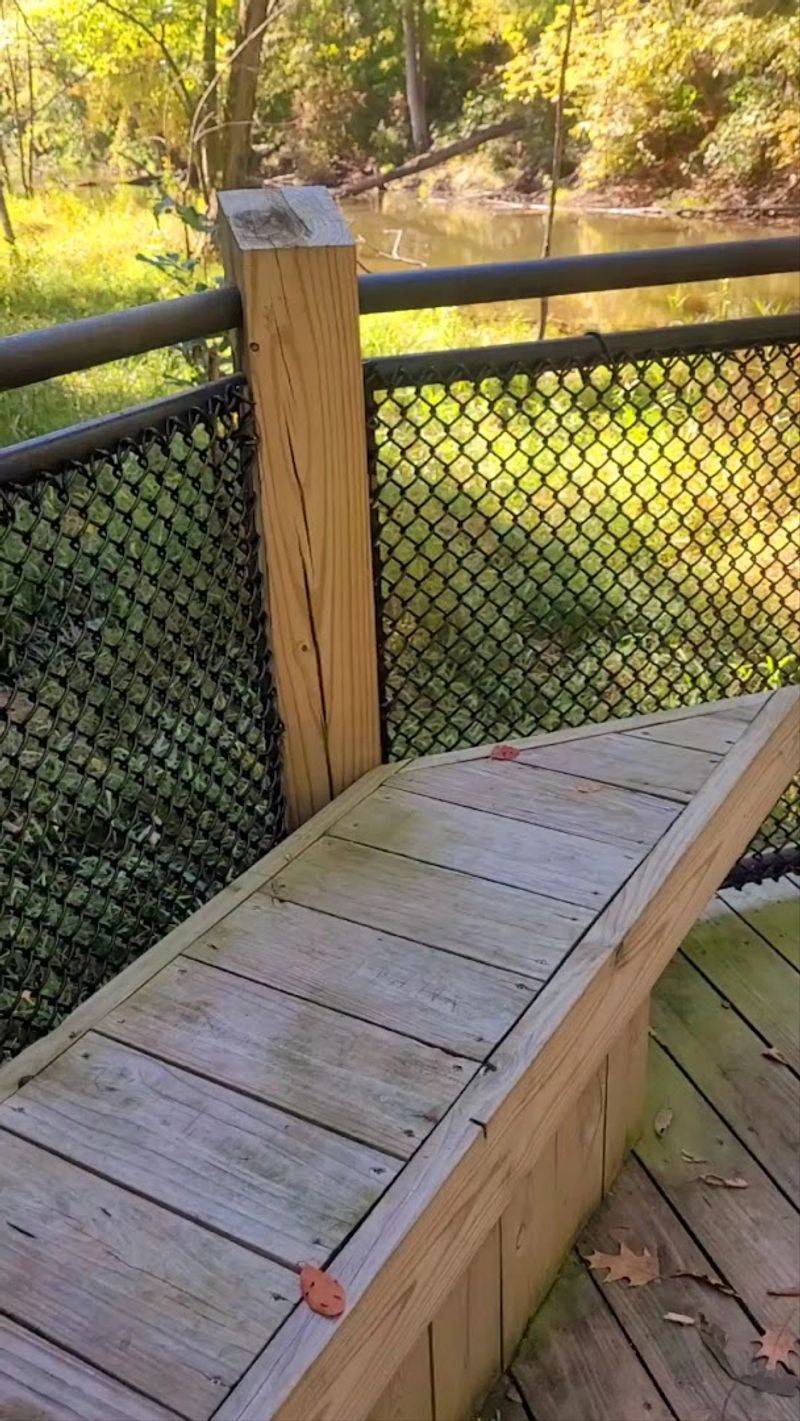 Benches Built for Brain Resets