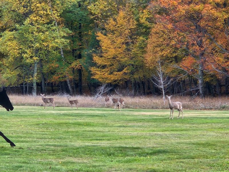 Families Can Spend a Full Day Without Forcing It