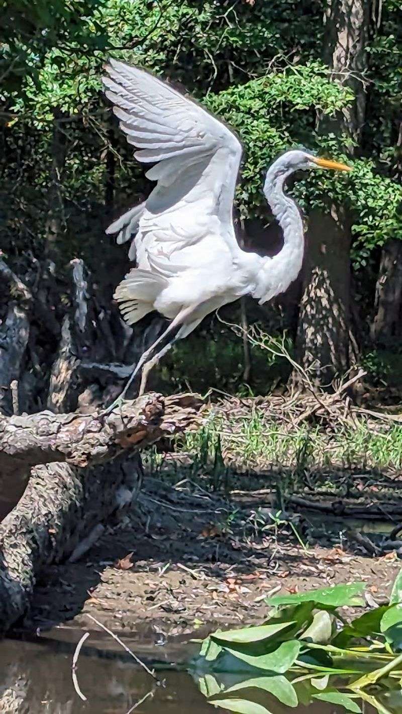 Birding At This Preserve Is Genuinely Impressive