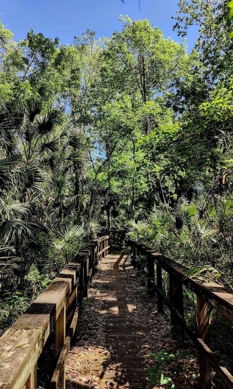 Wildlife Encounters You Will Actually Remember