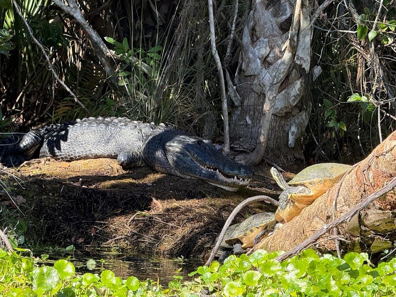 Wildlife Encounters You Should Actually Expect