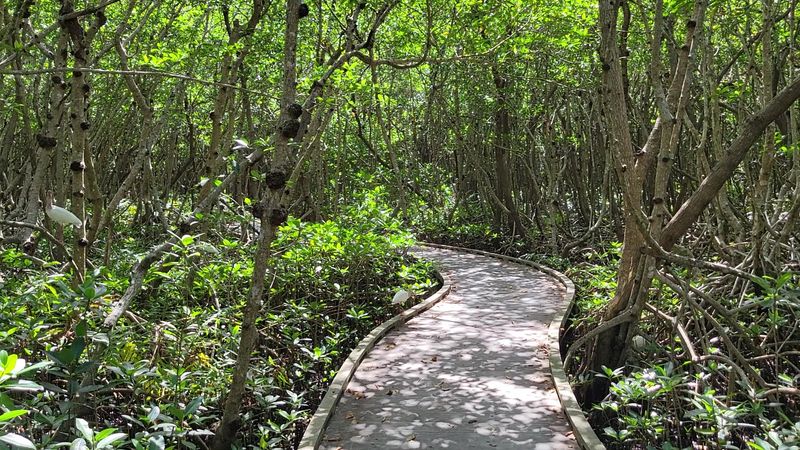 Why the Shade Makes This Trail Special in Florida