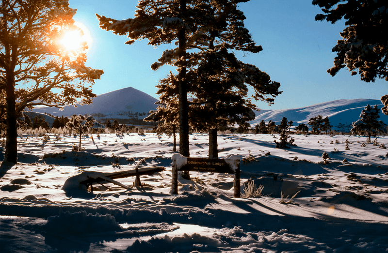 Rothiemurchus and Cairngorm Plateau Grasslands (Scotland)