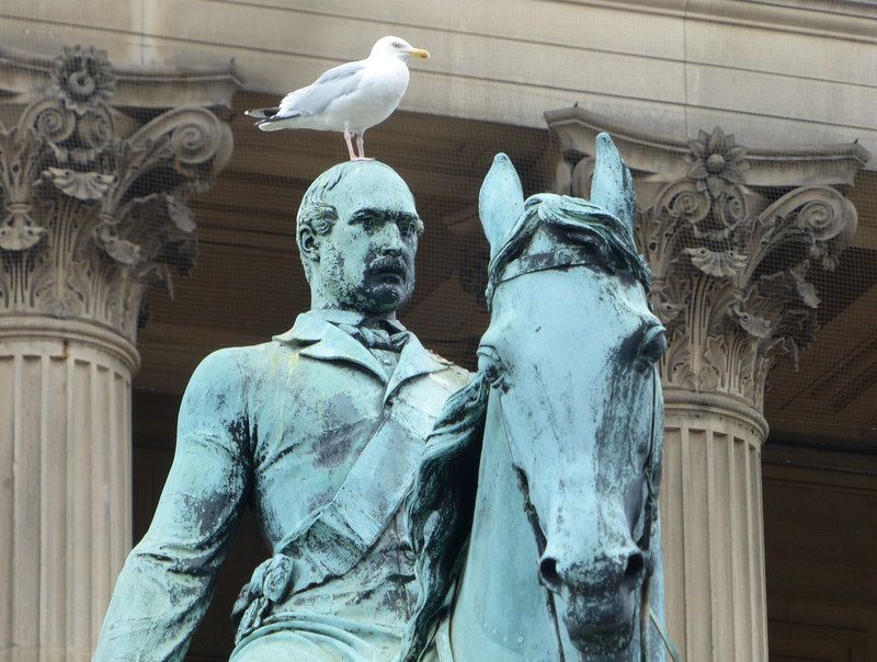 Prince Albert (Prince Consort, UK): The Man Behind Queen Victoria