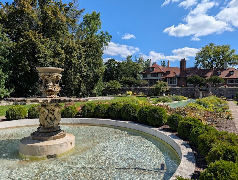 The Hollow Tree That Stops Kids in Their Tracks