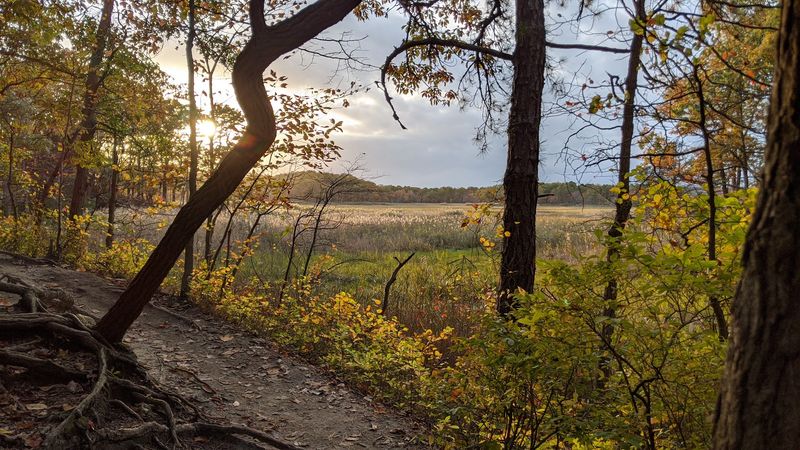 Cheesequake State Park, Matawan