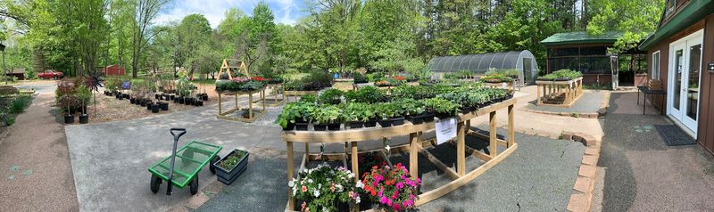 Pricing That Respects Your Budget