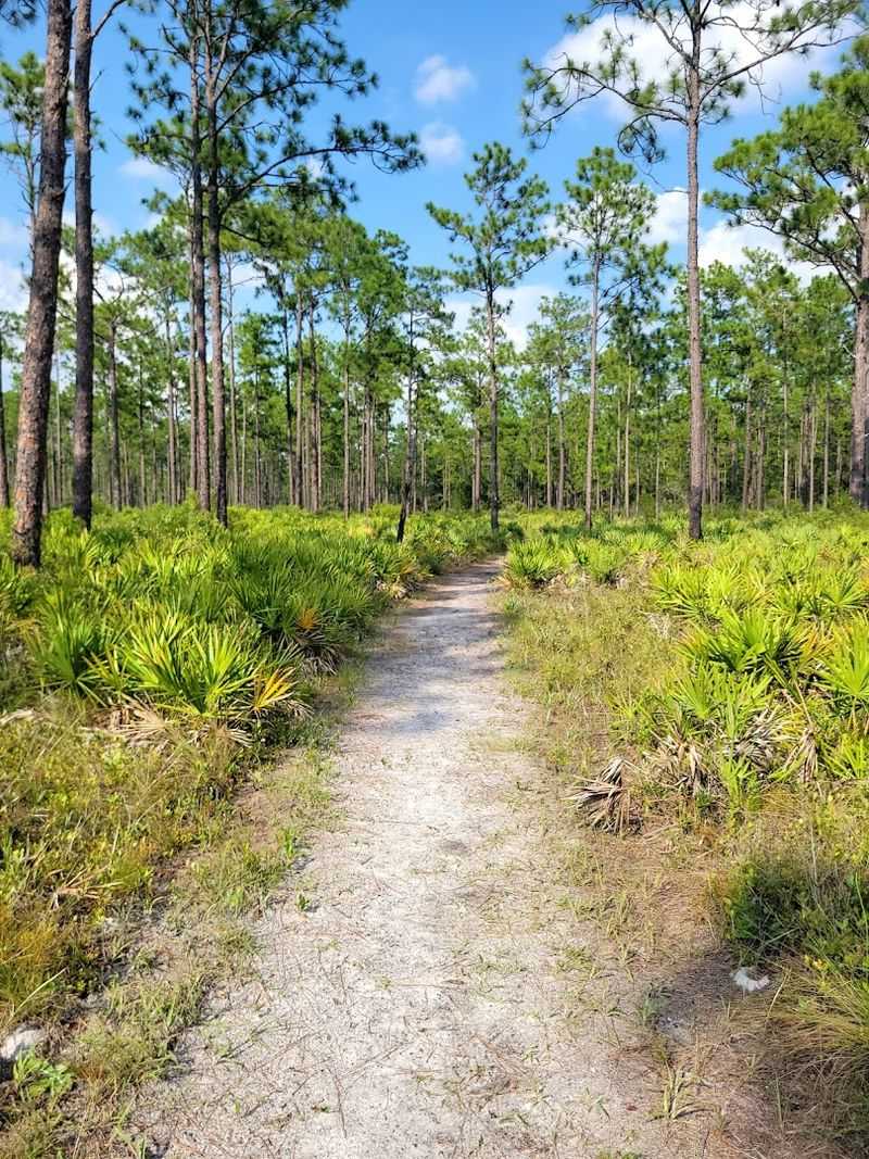 Dunns Farm Trail (Jennings State Forest)