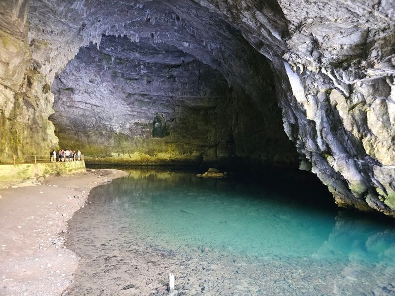Planina Cave, Planina