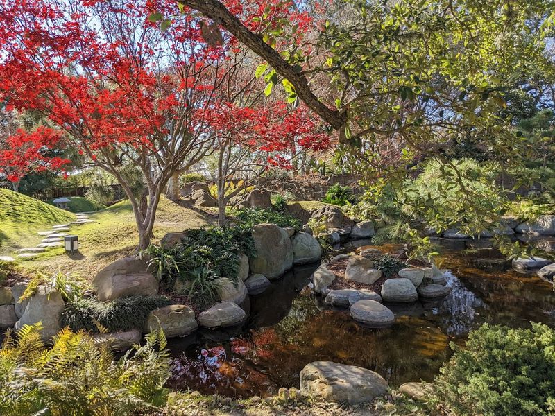 San Antonio Botanical Garden’s Hidden Corners (San Antonio, Texas)
