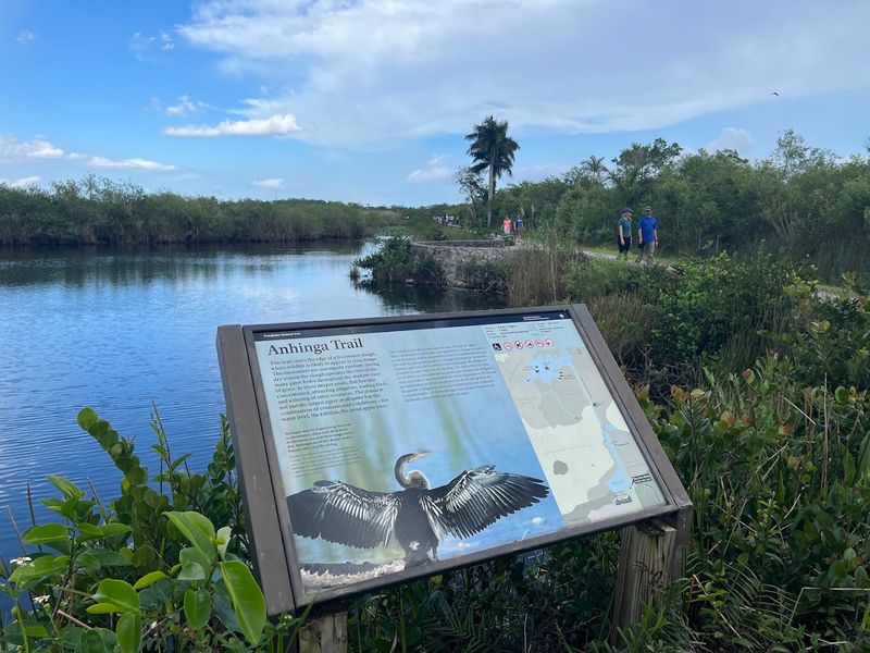 Anhinga Trail (Everglades National Park)