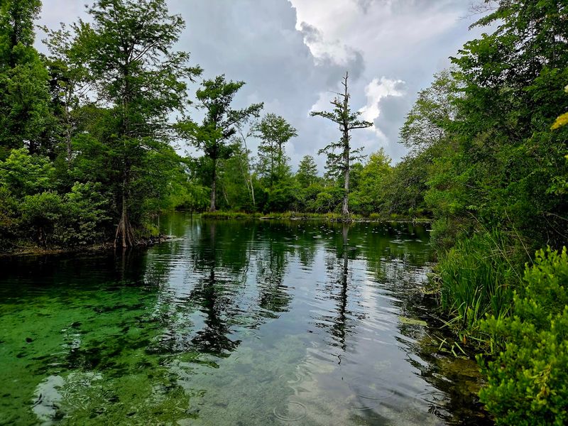 Econfina Creek Wildlife Management Area (lesser-known trails)
