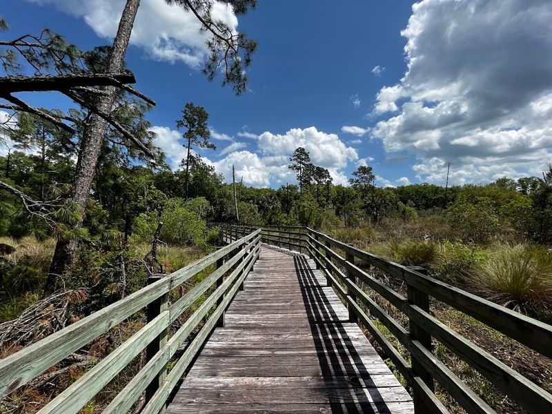 Guana Tolomato Matanzas (GTM) Back Trails