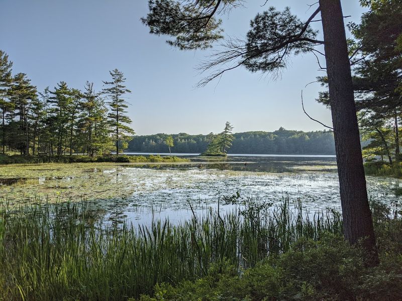 Wildlife, Quiet Moments, and the Unexpected Encounters