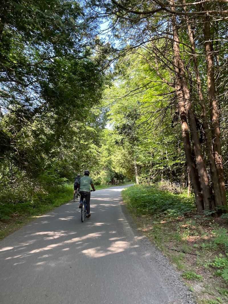 Forests, Dunes, and Cedar Groves Along the Path