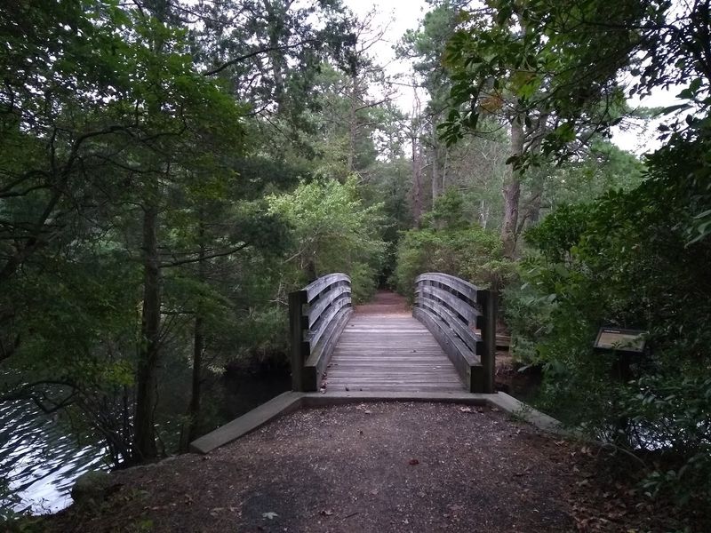 Trails Worth Every Step