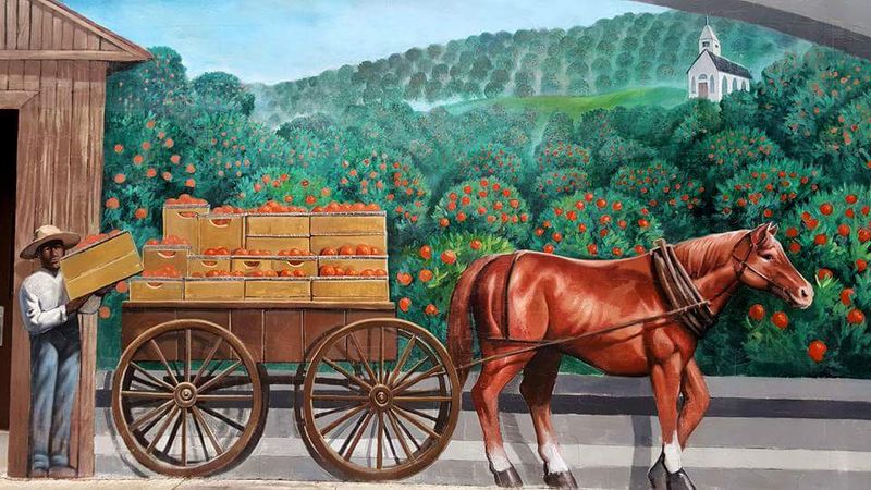 The History Behind the Murals Project