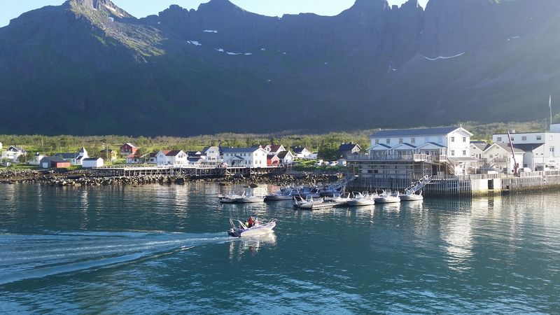 Senja, Norway: The Arctic Island Where Every Turn Looks Like a Movie Trailer