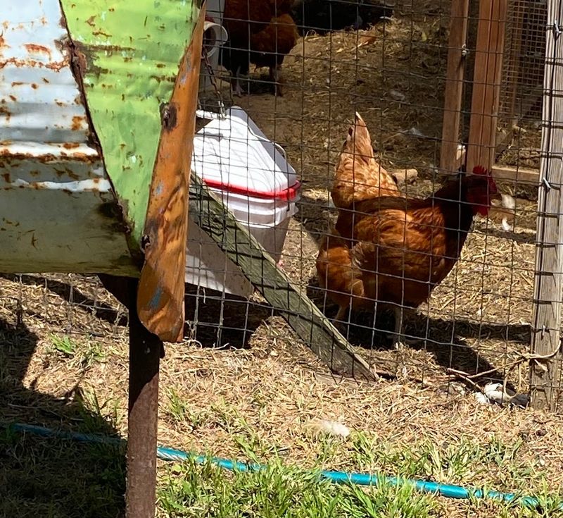 The Children's Garden and Family-Friendly Features