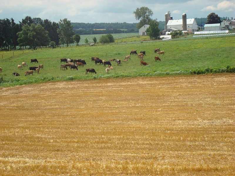 Amish Country Tour Buses – Pennsylvania