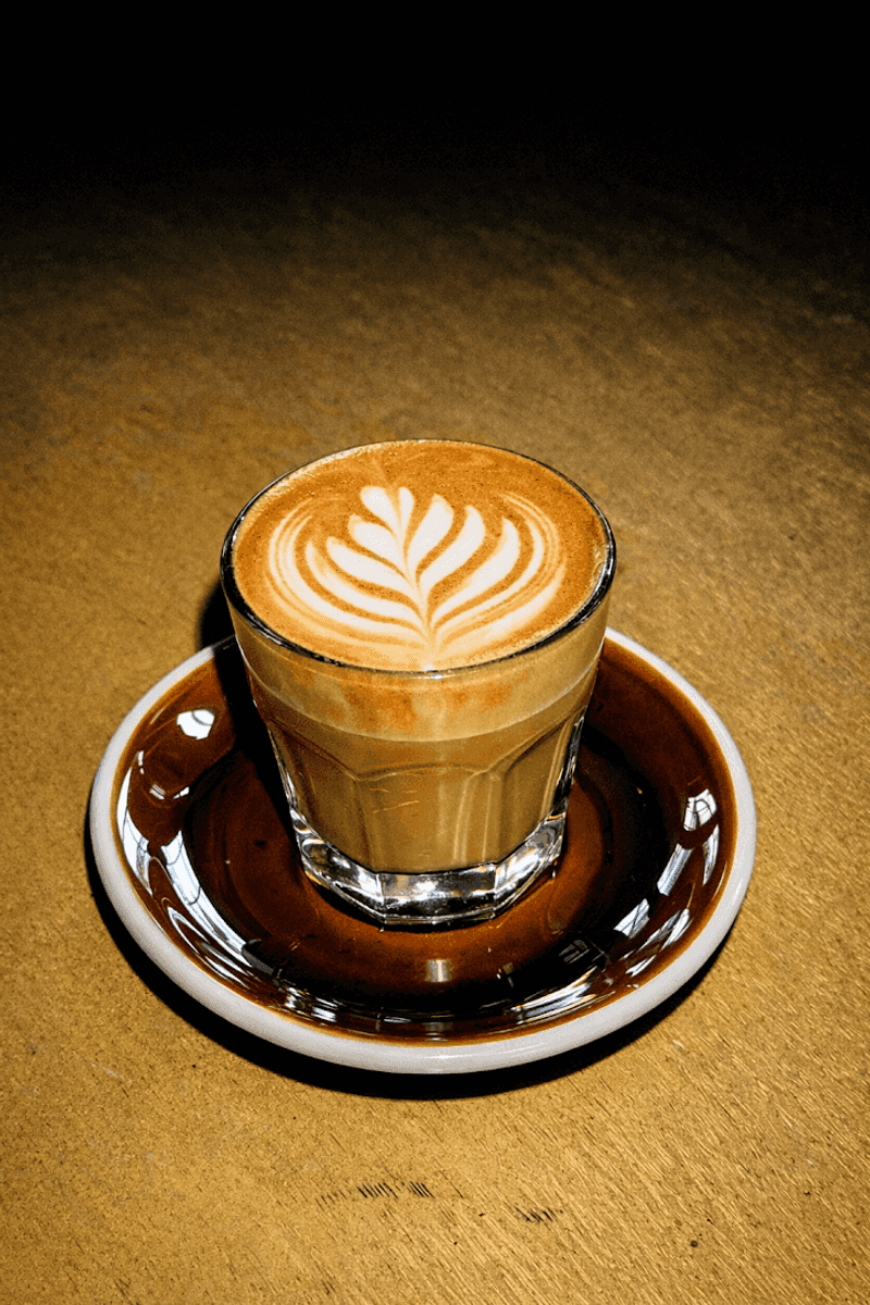 Honey Bee Latte and Barista Recommendations Worth Taking