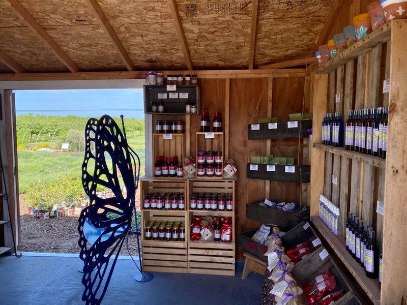 The Farm Shop Smells Like A Suitcase Upgrade