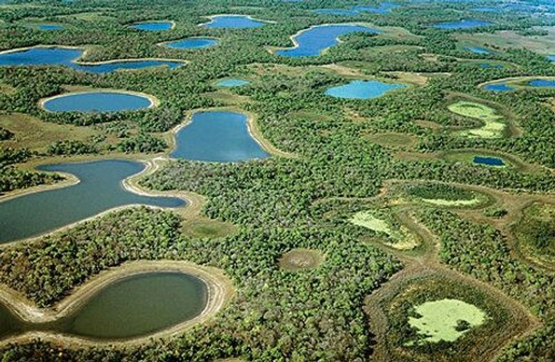 The Pantanal, Brazil