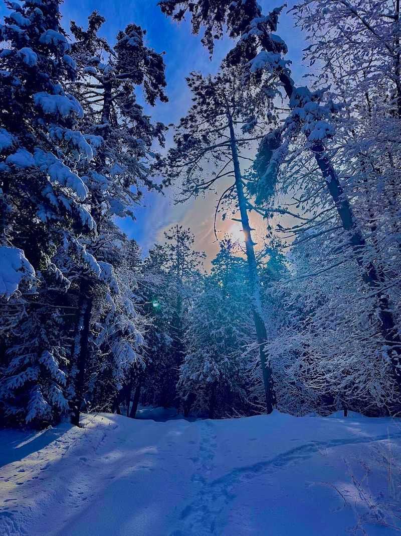 Wilderness State Park (beyond the main entrance)