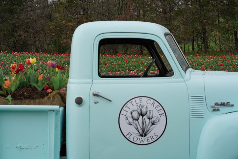 Little Creek Flowers — Cookeville