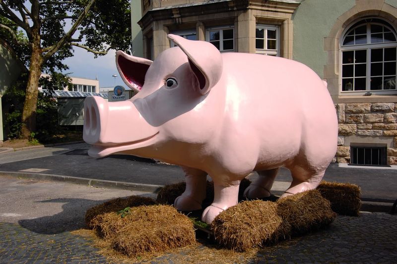 SchweineMuseum, Stuttgart