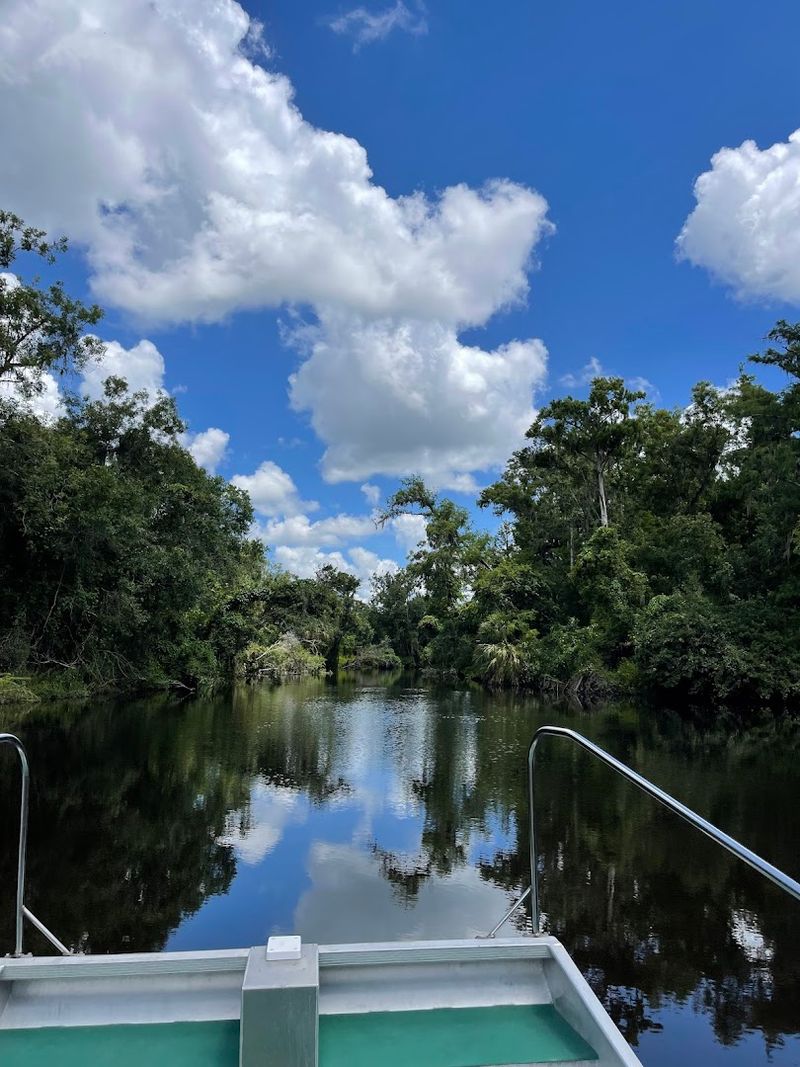 Airboat Tours That Add an Unforgettable Adventure