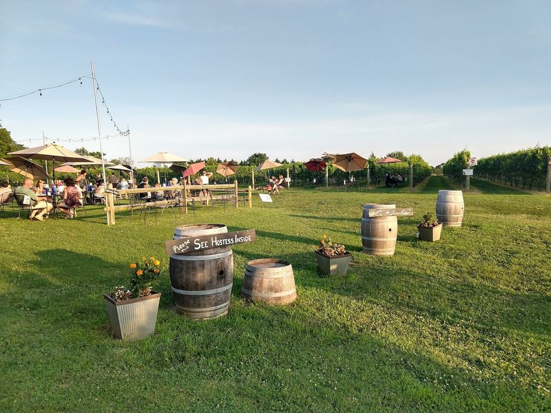 Dog-Friendly and Family-Welcoming