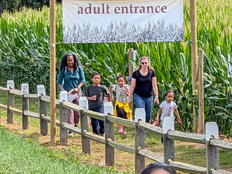 The Corn Maze and Fall Activities for Families