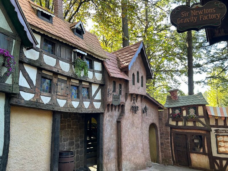 Panning for Gold and the Western Town