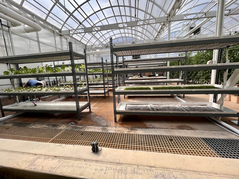 Hydroponics and Aquaponics Up Close