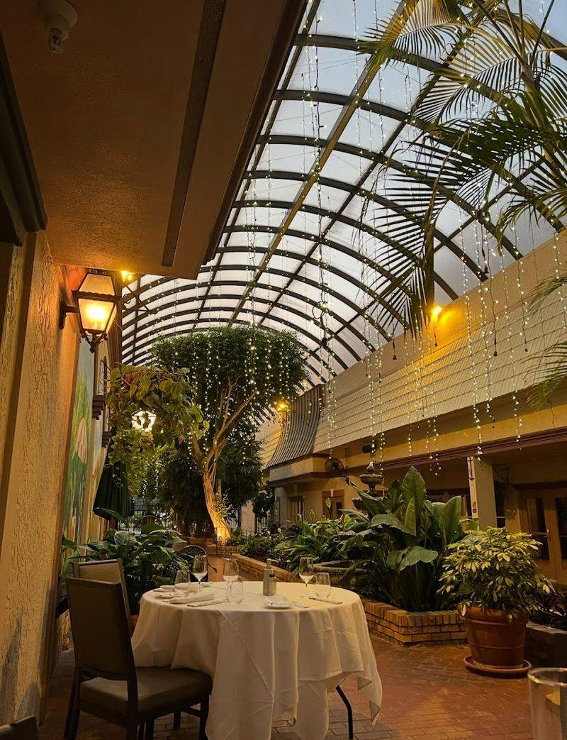 The Outdoor Dining Area Under the Stars