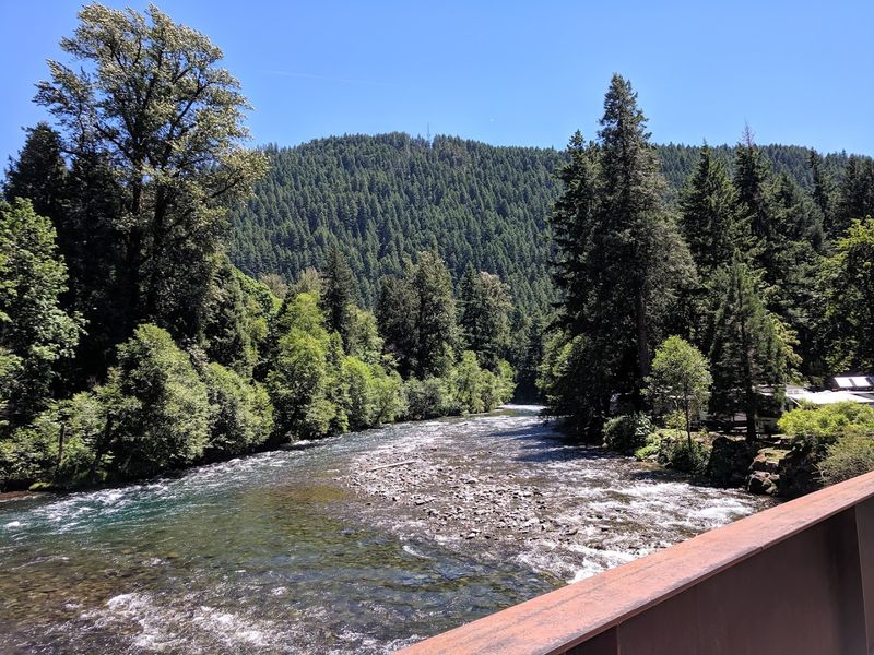The McKenzie River Setting